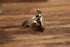 Round Turquoise Ring - Size 11 1/4 - Large Rugged Southwestern turquoise Ring - Natural Stone Leaf Jewelry